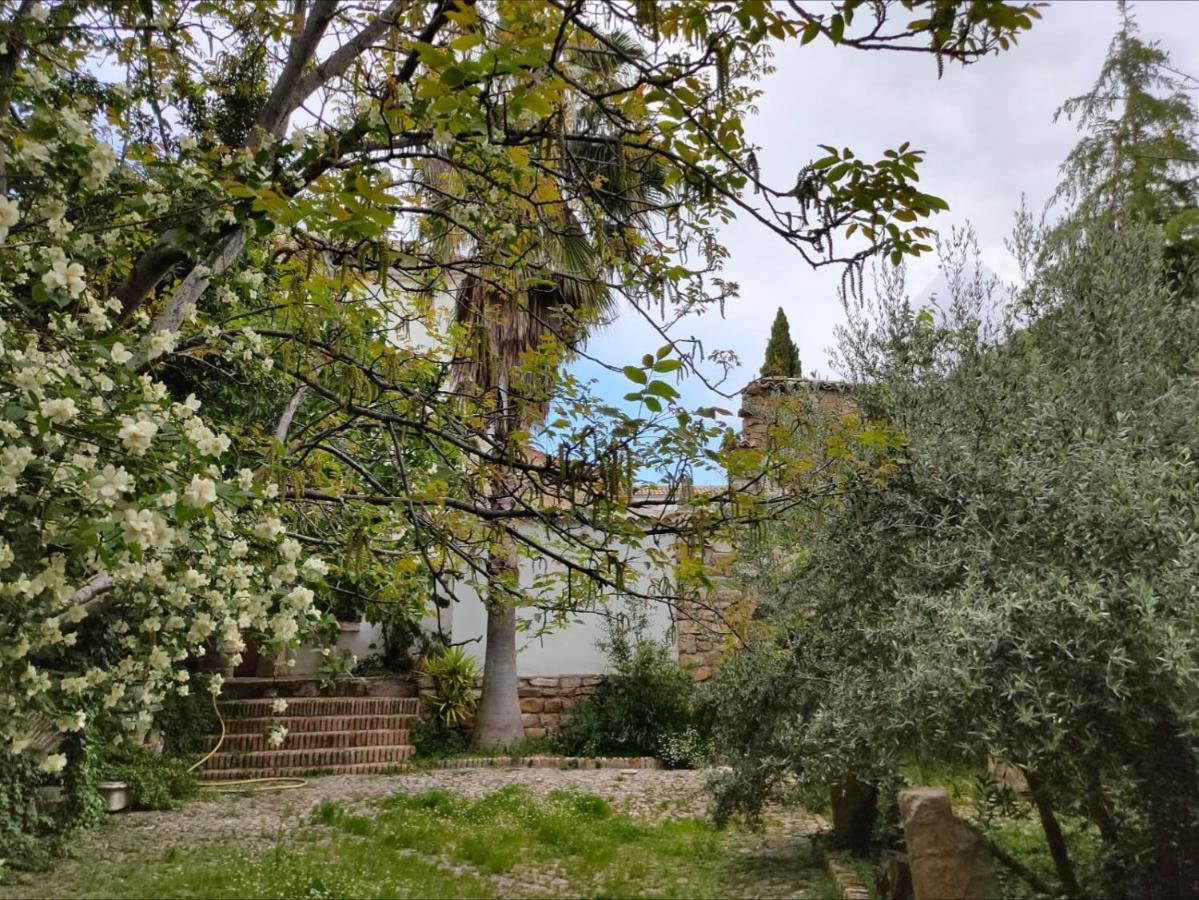 Casa Palacio El Caballero De Malta Ubeda  Luaran gambar